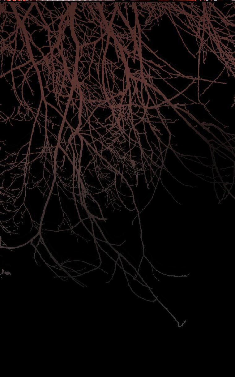 Tôi Đã Thuần Hóa Một Tên Bạo Chúa Và Chạy Trốn 81 trang 6