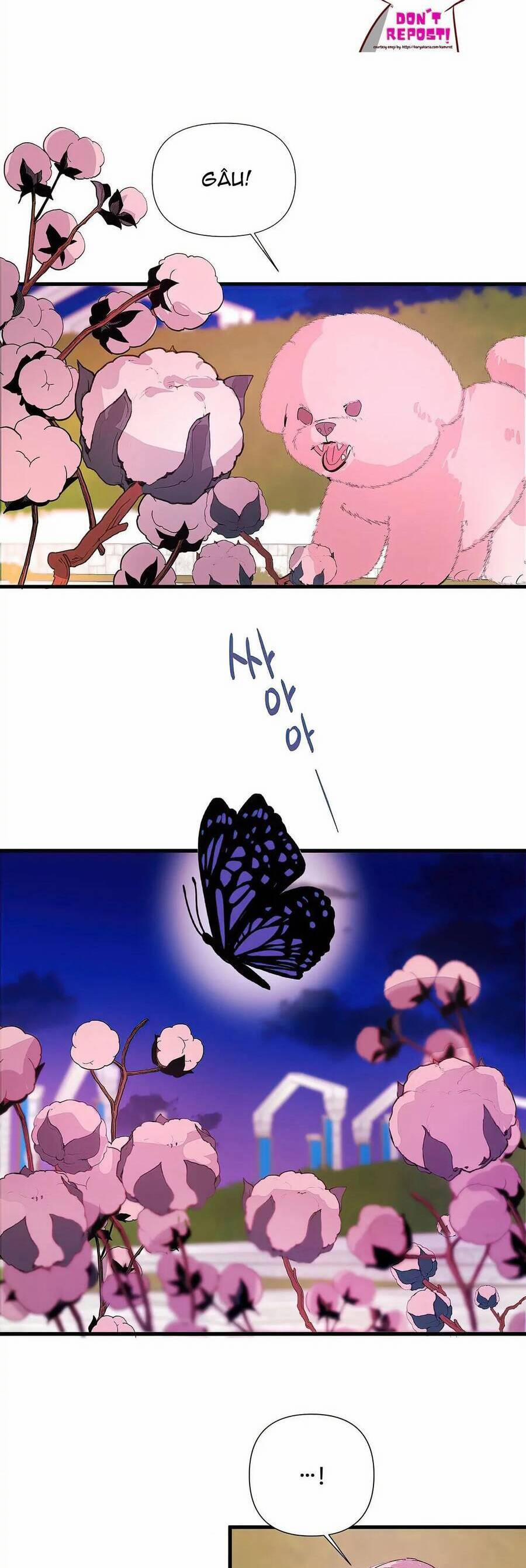 Tôi Đã Trở Thành Cô Em Gái Giả Mạo 10 trang 28