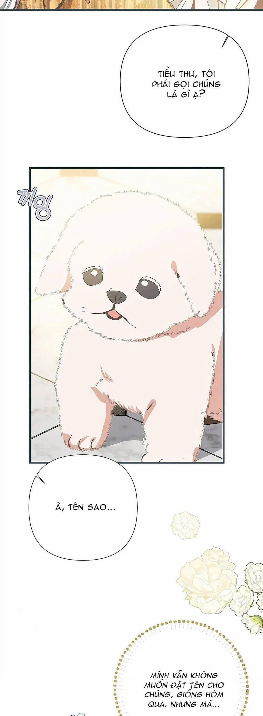 Tôi Đã Trở Thành Cô Em Gái Giả Mạo 8 trang 3