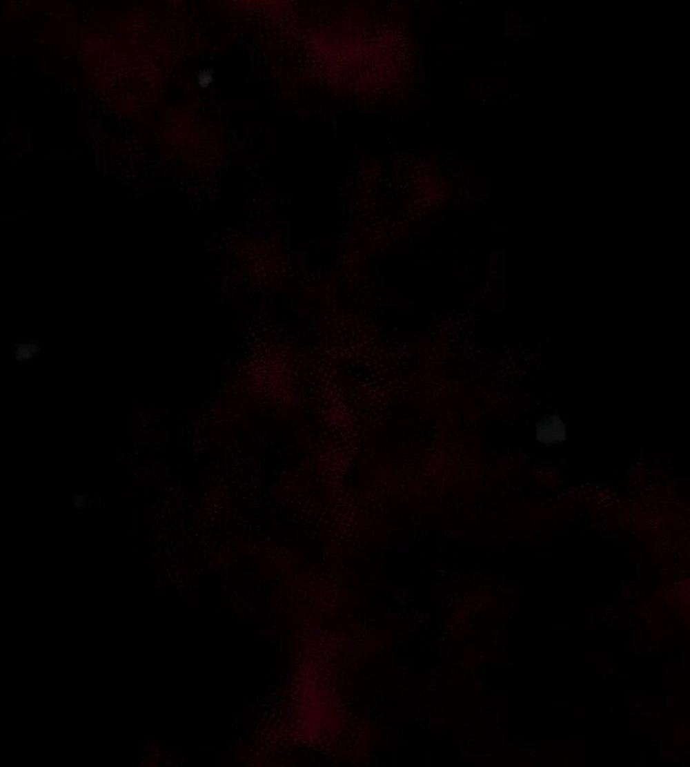 Tôi Đã Trở Thành Quái Vật Không Gian 33 trang 89