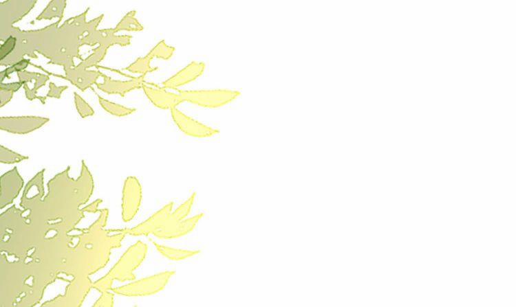 Tôi Đẹp Trai Thì Có Thể Làm Gì Làm 4 trang 56