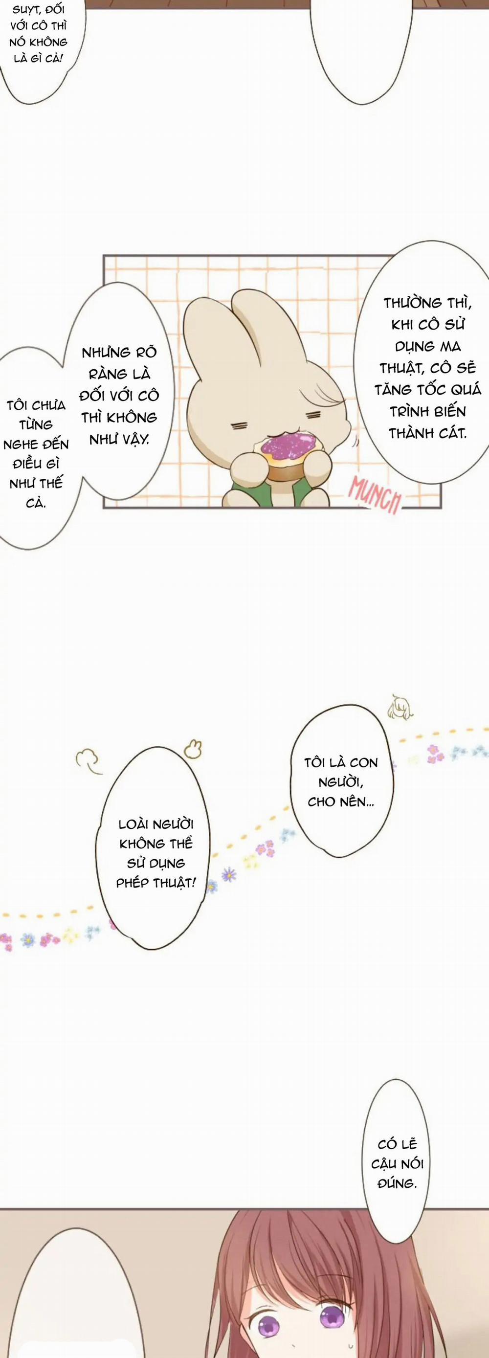 Tôi Được Bảo Vệ Bởi Kỵ Sĩ Rồng 6.1 trang 5