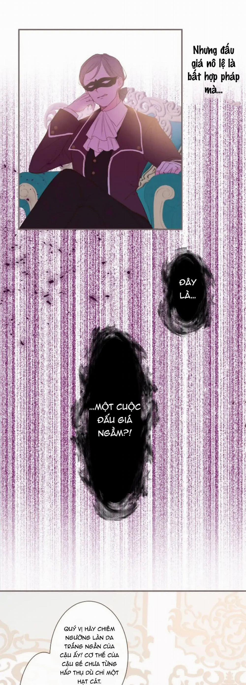 Tôi Được Bảo Vệ Bởi Kỵ Sĩ Rồng 6.2 trang 10