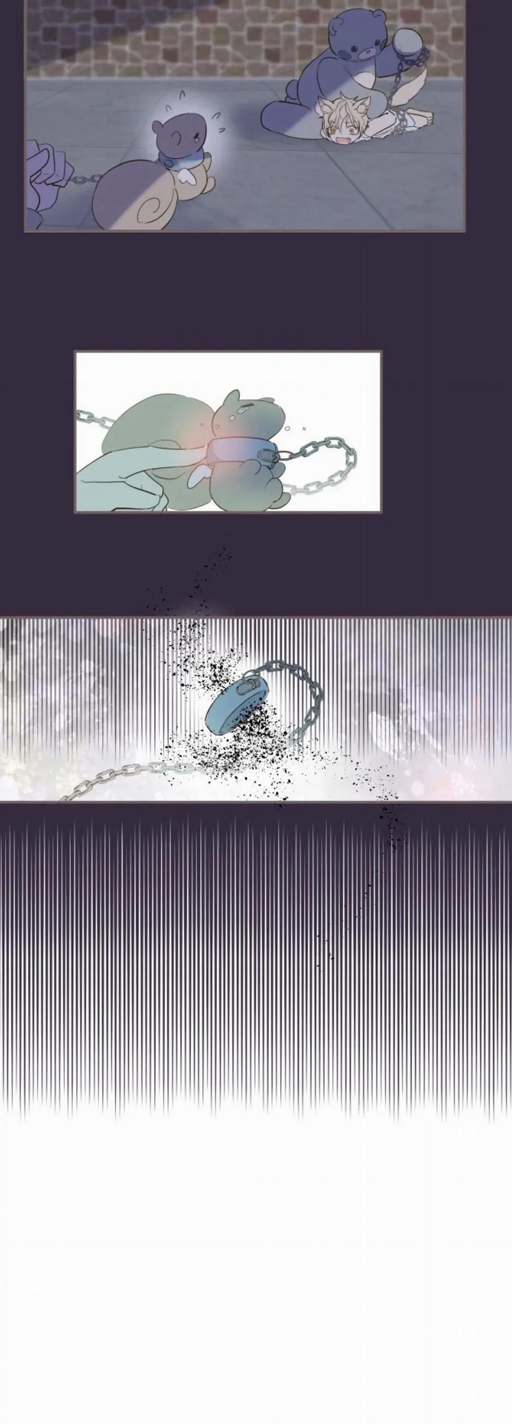 Tôi Được Bảo Vệ Bởi Kỵ Sĩ Rồng 7.1 trang 11