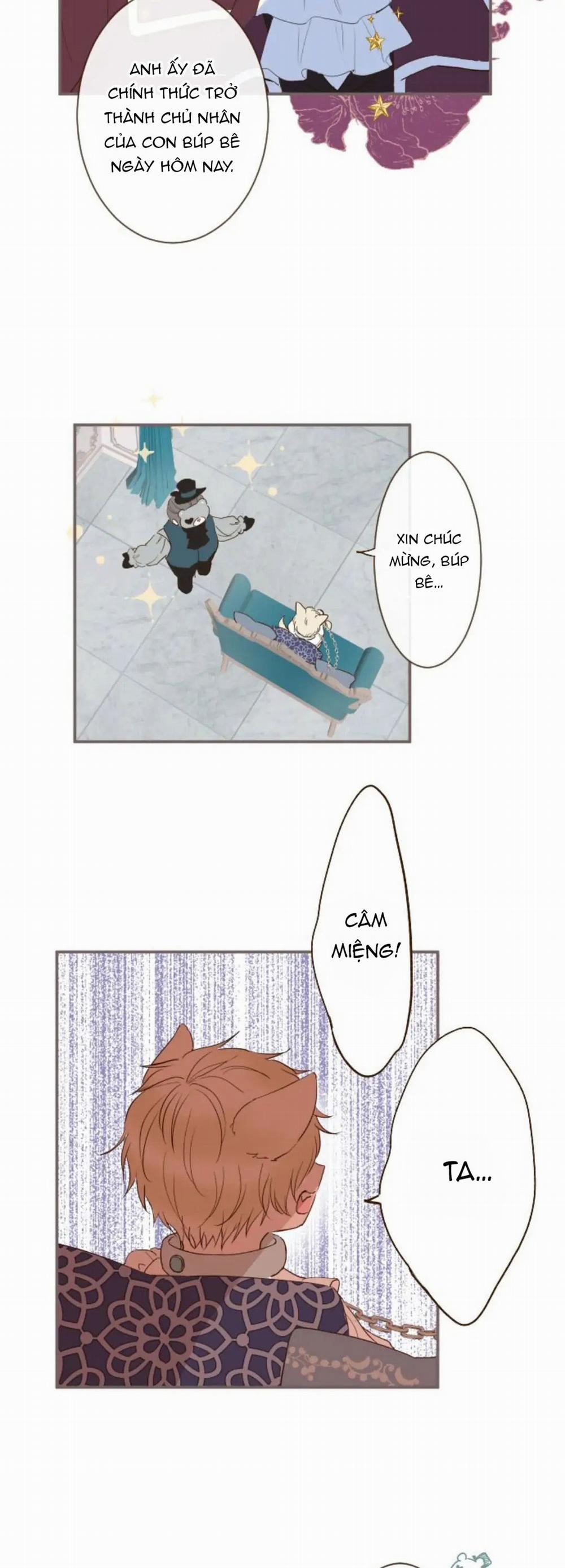 Tôi Được Bảo Vệ Bởi Kỵ Sĩ Rồng 7.1 trang 7