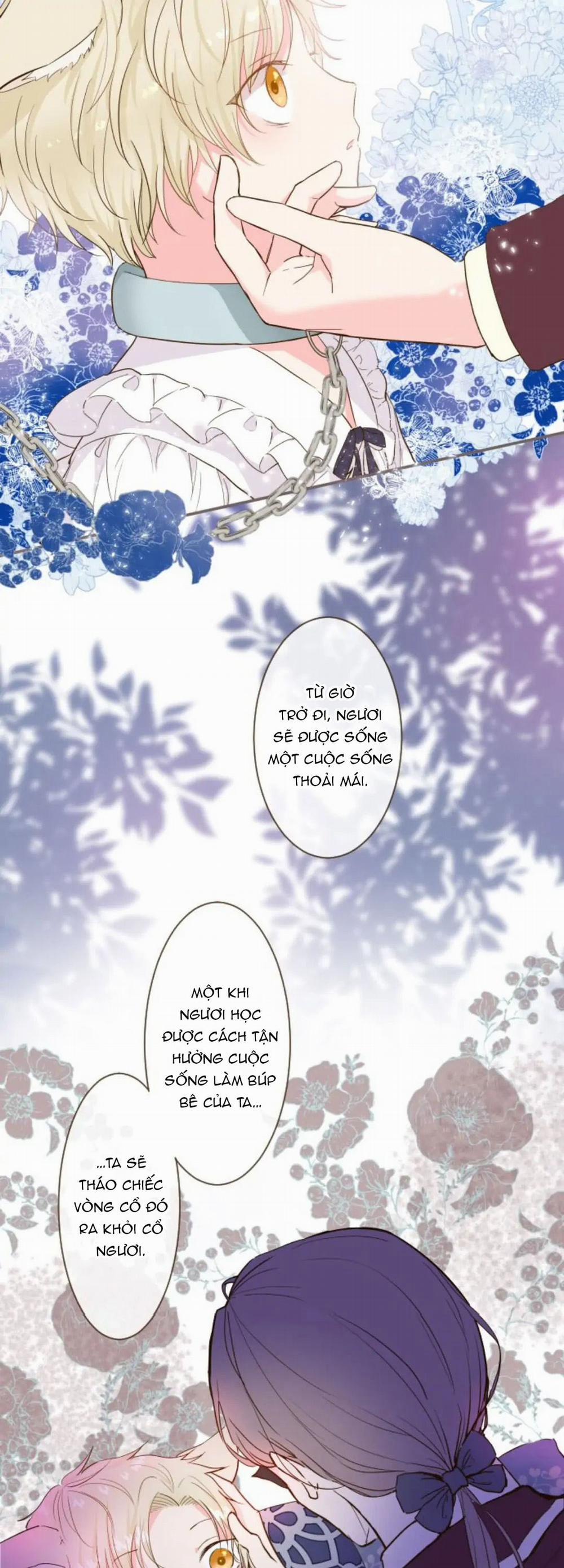 Tôi Được Bảo Vệ Bởi Kỵ Sĩ Rồng 7.2 trang 1