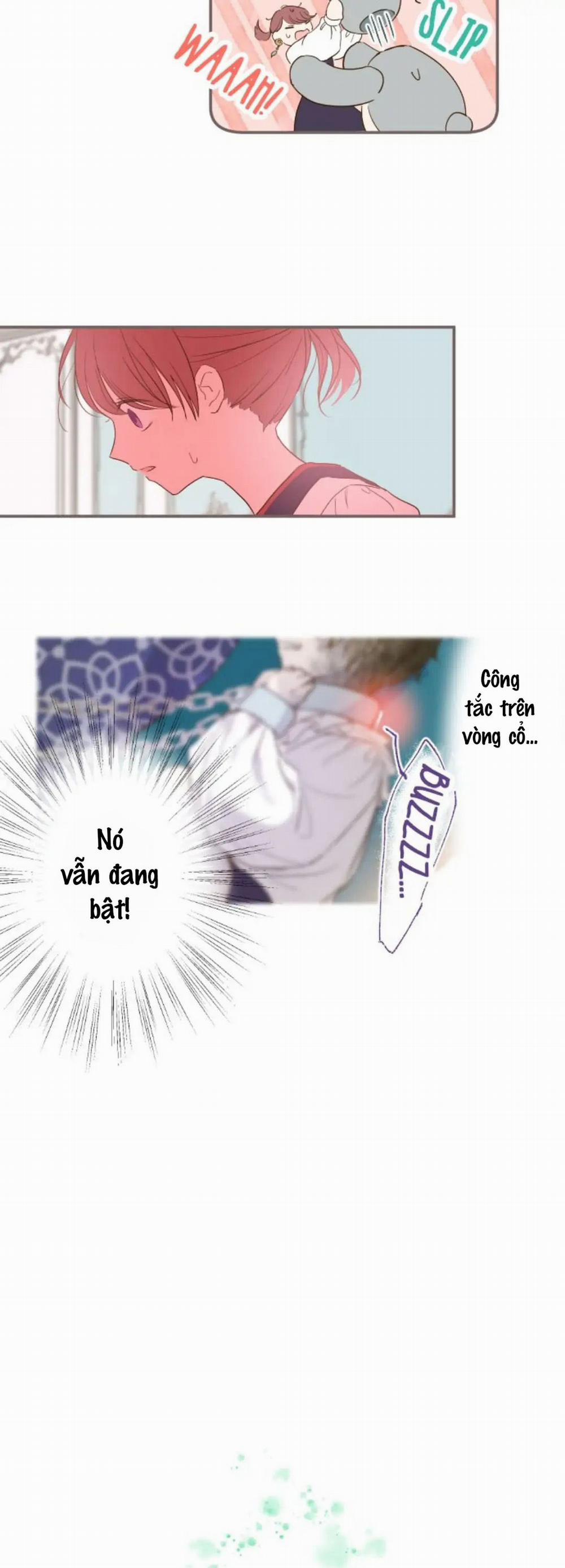 Tôi Được Bảo Vệ Bởi Kỵ Sĩ Rồng 7.2 trang 11