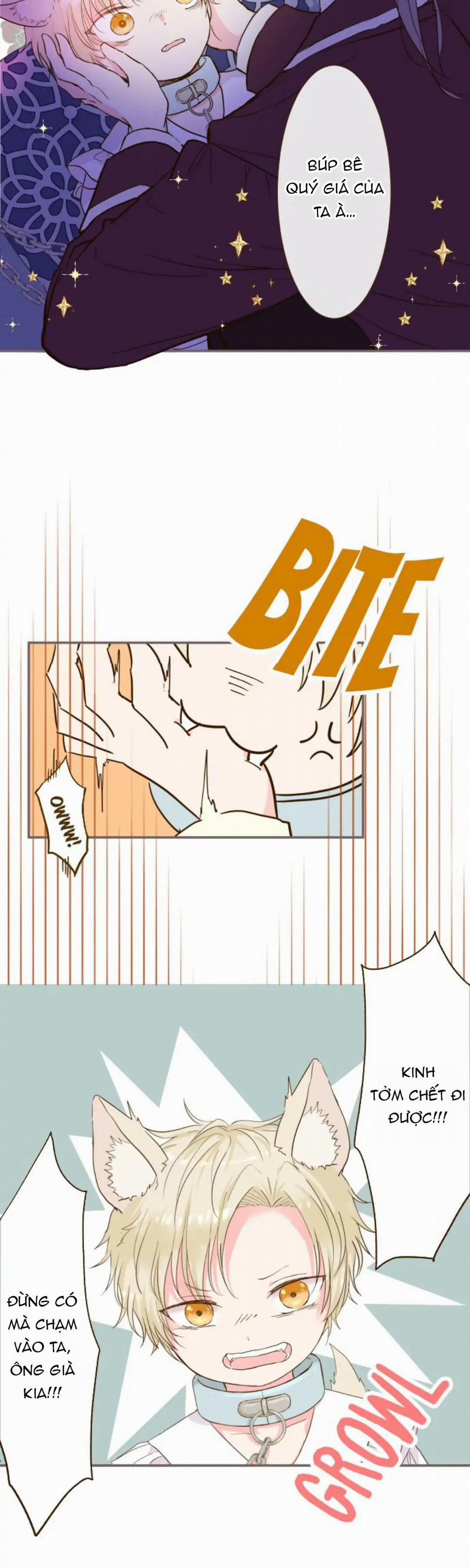 Tôi Được Bảo Vệ Bởi Kỵ Sĩ Rồng 7.2 trang 2