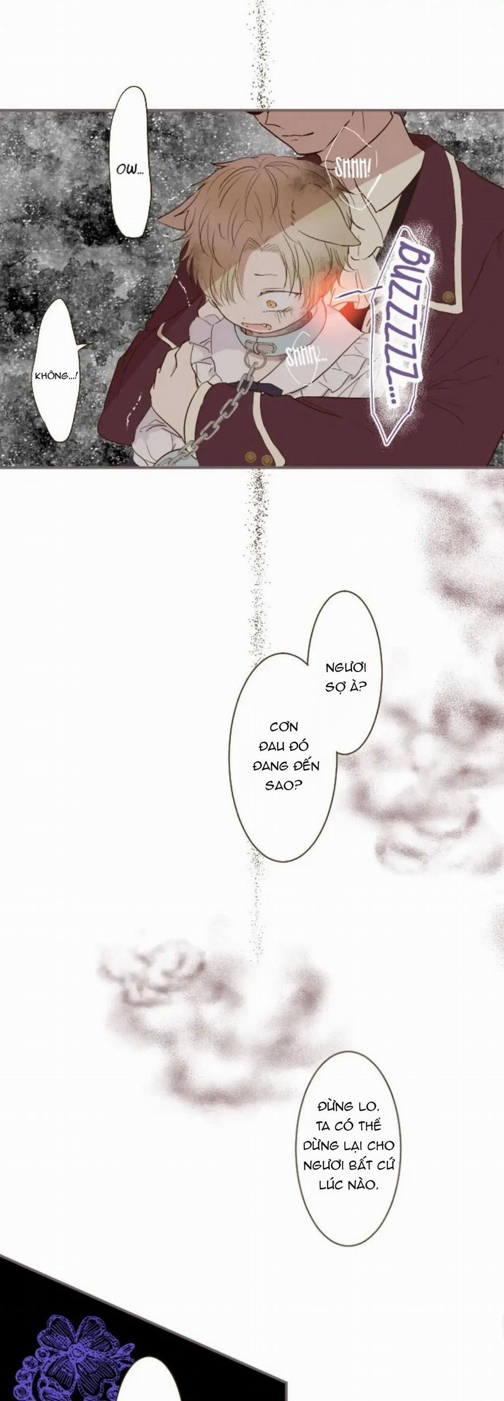 Tôi Được Bảo Vệ Bởi Kỵ Sĩ Rồng 7.2 trang 6