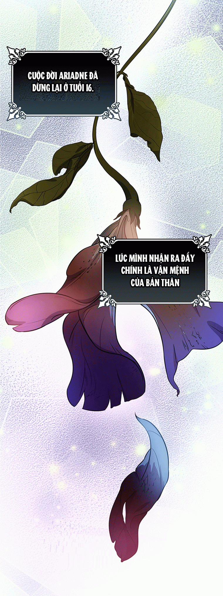 Tôi Được Định Trở Thành Vị Cứu Tinh Của Nhân Vật Chính 2.5 trang 1