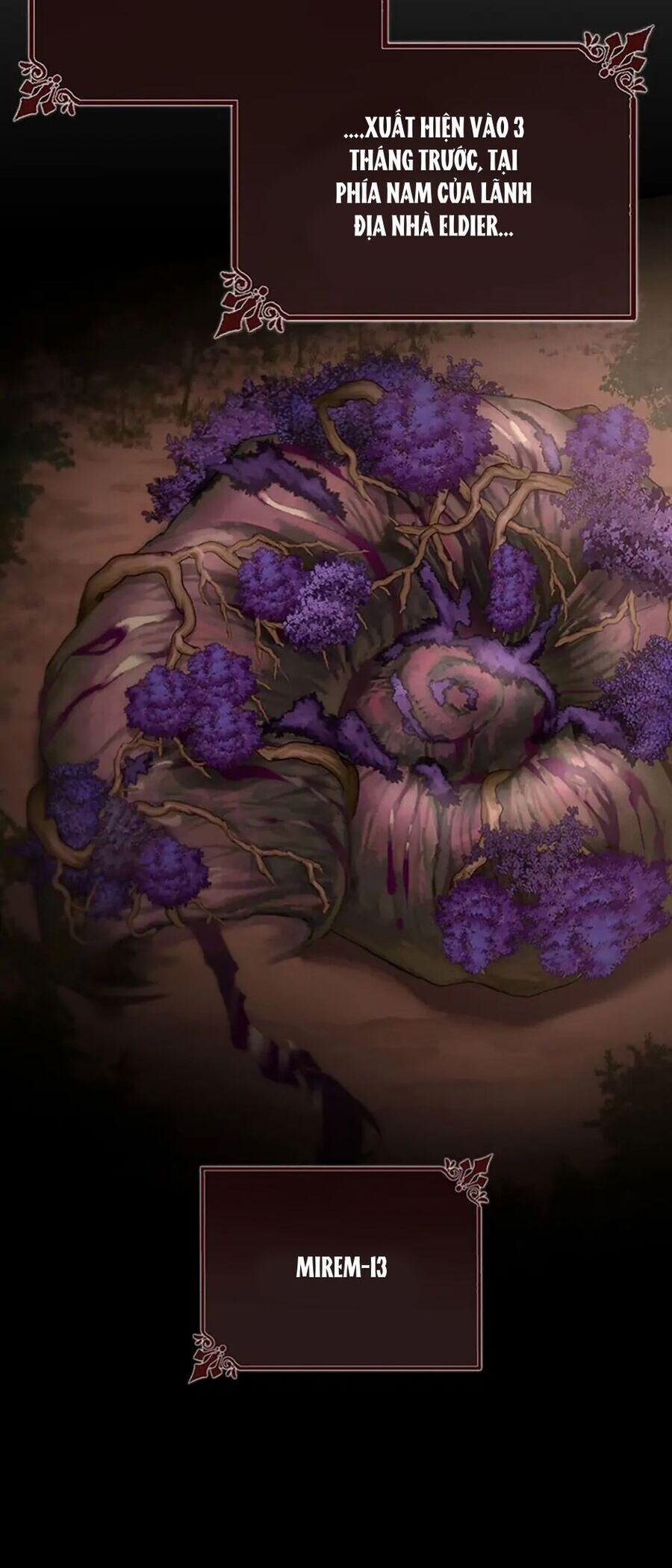 Tôi Được Định Trở Thành Vị Cứu Tinh Của Nhân Vật Chính 49 trang 17