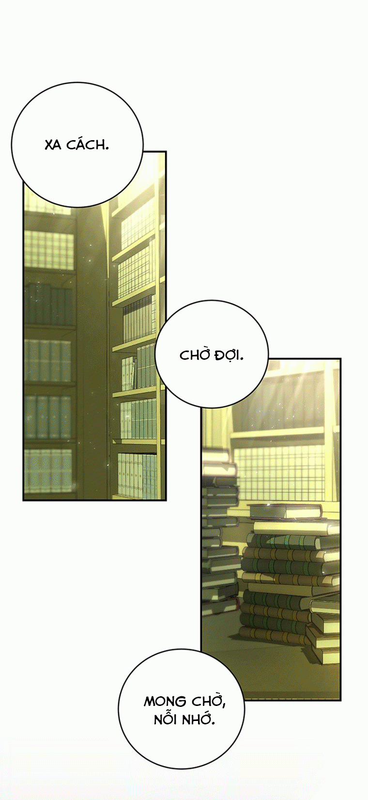 Tôi Được Định Trở Thành Vị Cứu Tinh Của Nhân Vật Chính 5 trang 0