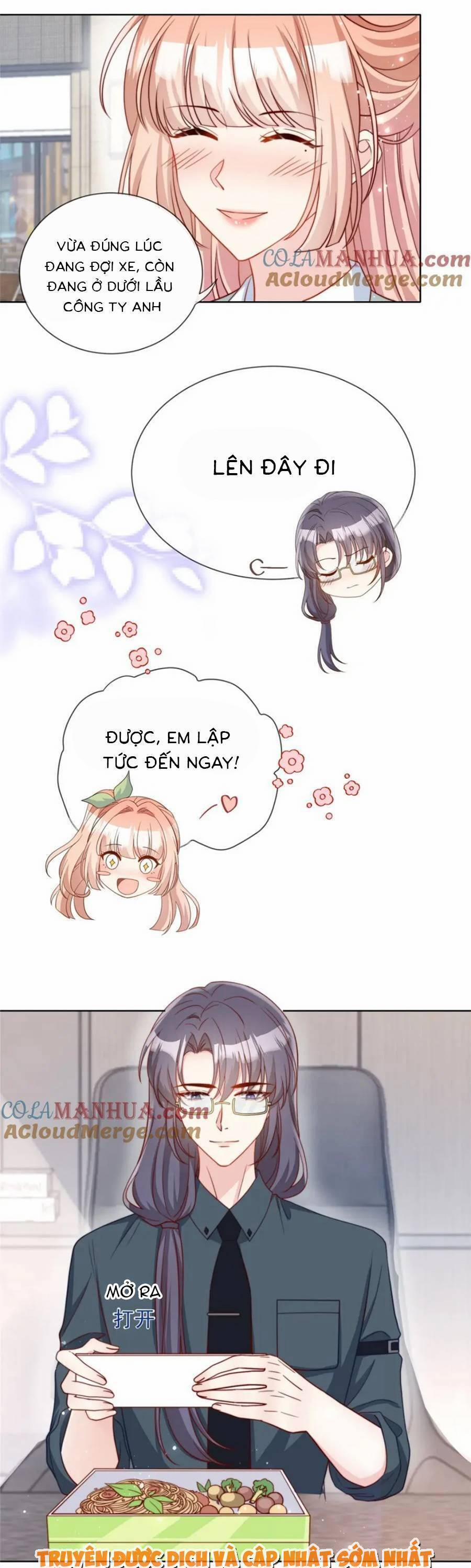 Tôi Được Năm Nam Chính Sủng 176 trang 6