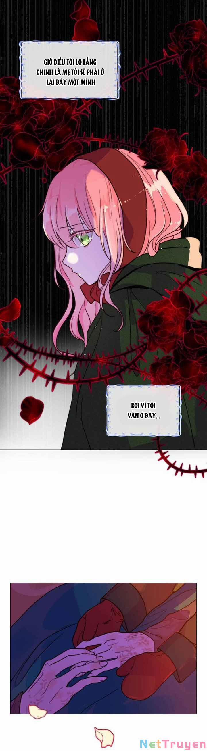 Tôi Được Sinh Ra Là Con Gái Thứ Hai 1 trang 13