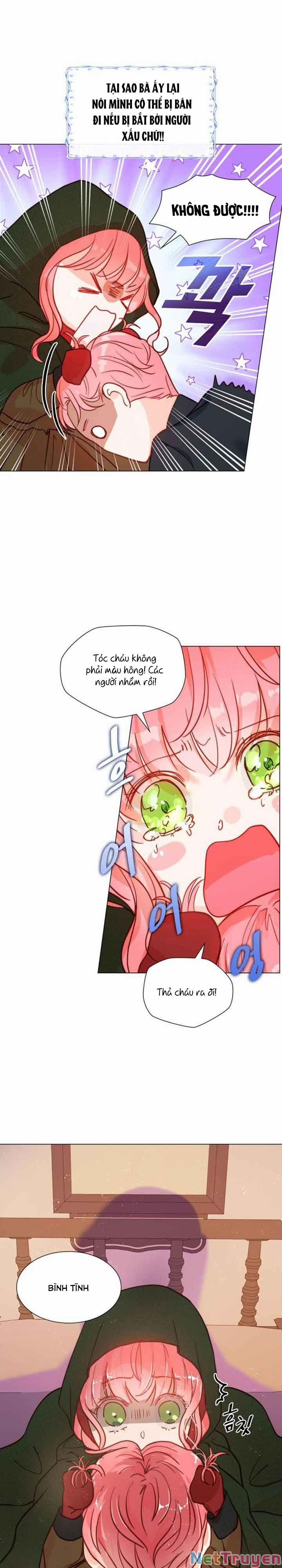 Tôi Được Sinh Ra Là Con Gái Thứ Hai 1 trang 29