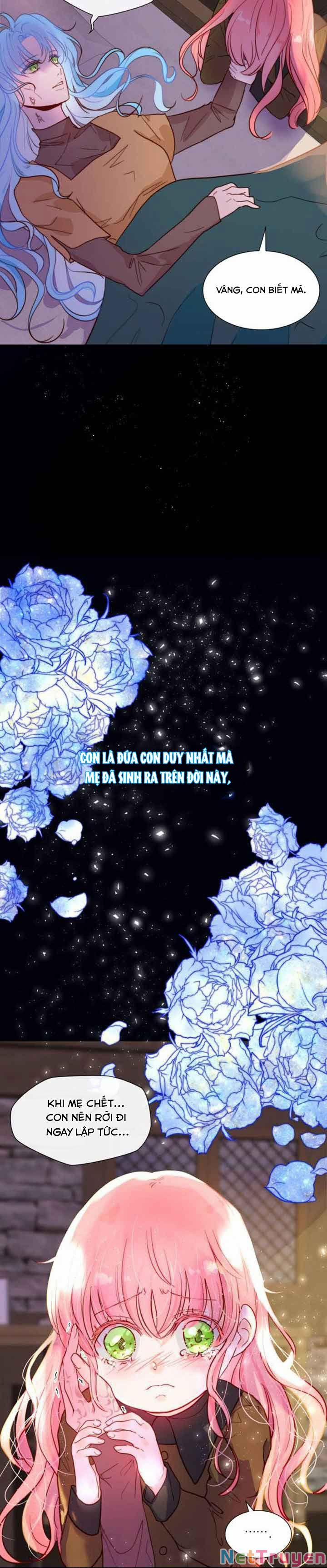 Tôi Được Sinh Ra Là Con Gái Thứ Hai 1 trang 3