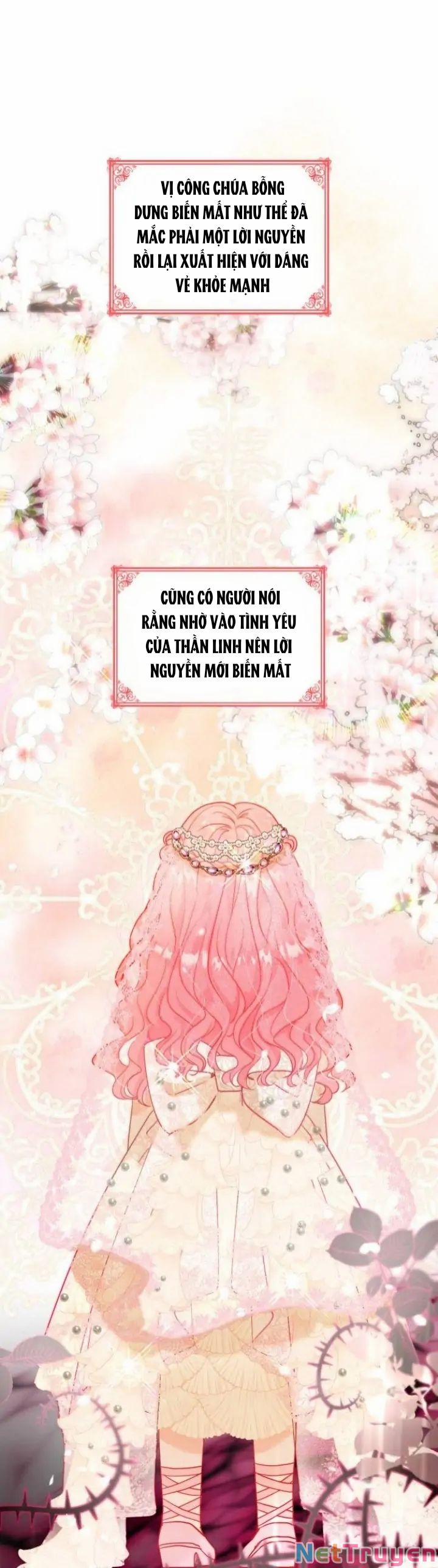 Tôi Được Sinh Ra Là Con Gái Thứ Hai 16 trang 3