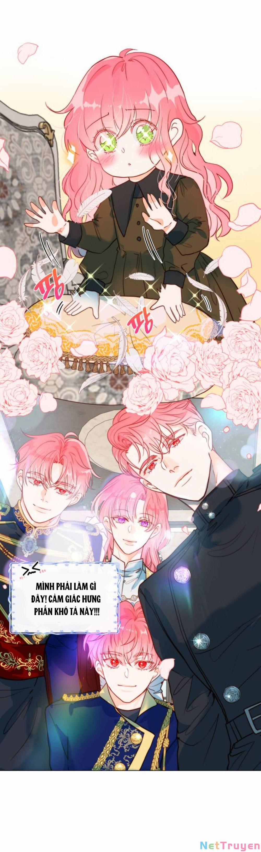 Tôi Được Sinh Ra Là Con Gái Thứ Hai 4 trang 8