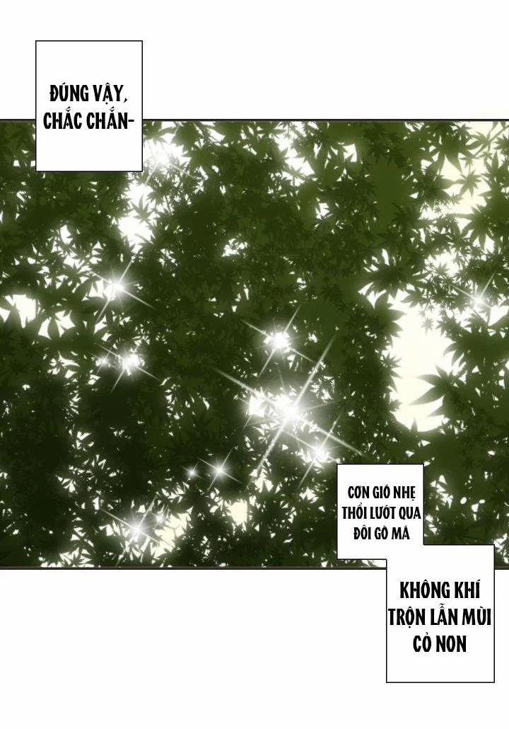 Tôi Được Tổng Giám Đốc Tỏ Tình 12 trang 16