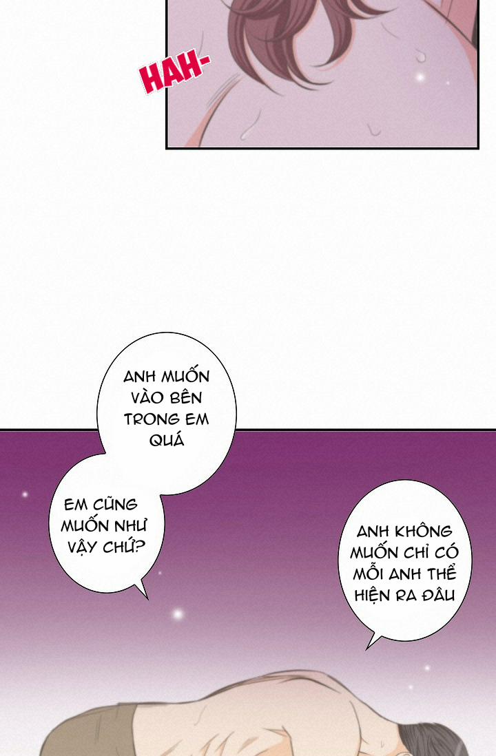 Tôi Được Tổng Giám Đốc Tỏ Tình 13 trang 39