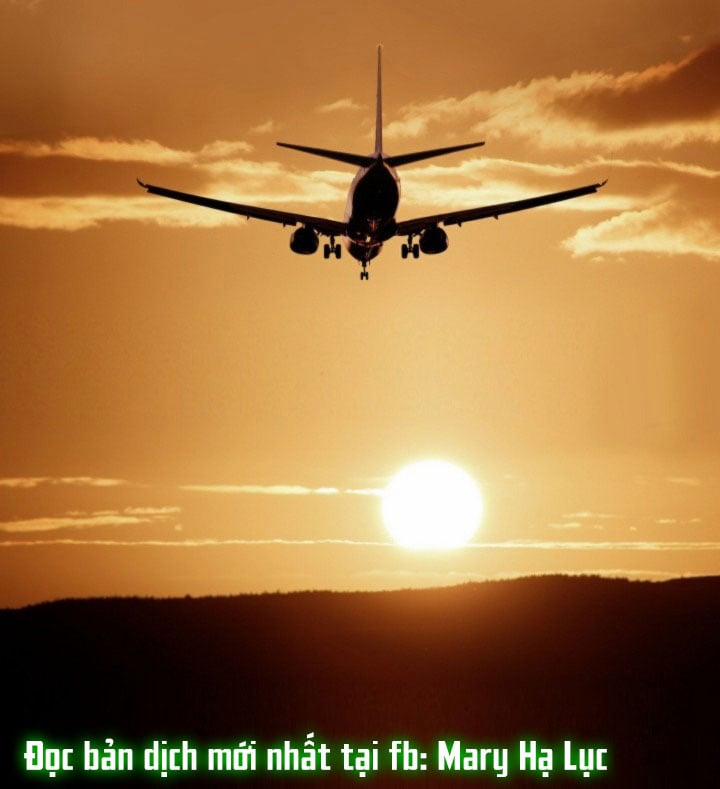 Tôi Được Tổng Giám Đốc Tỏ Tình 4.1 trang 0