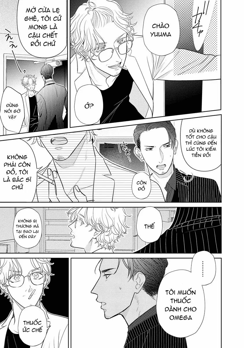 Tôi Được Yakuza Alpha Nhặt Về 2.1 trang 12