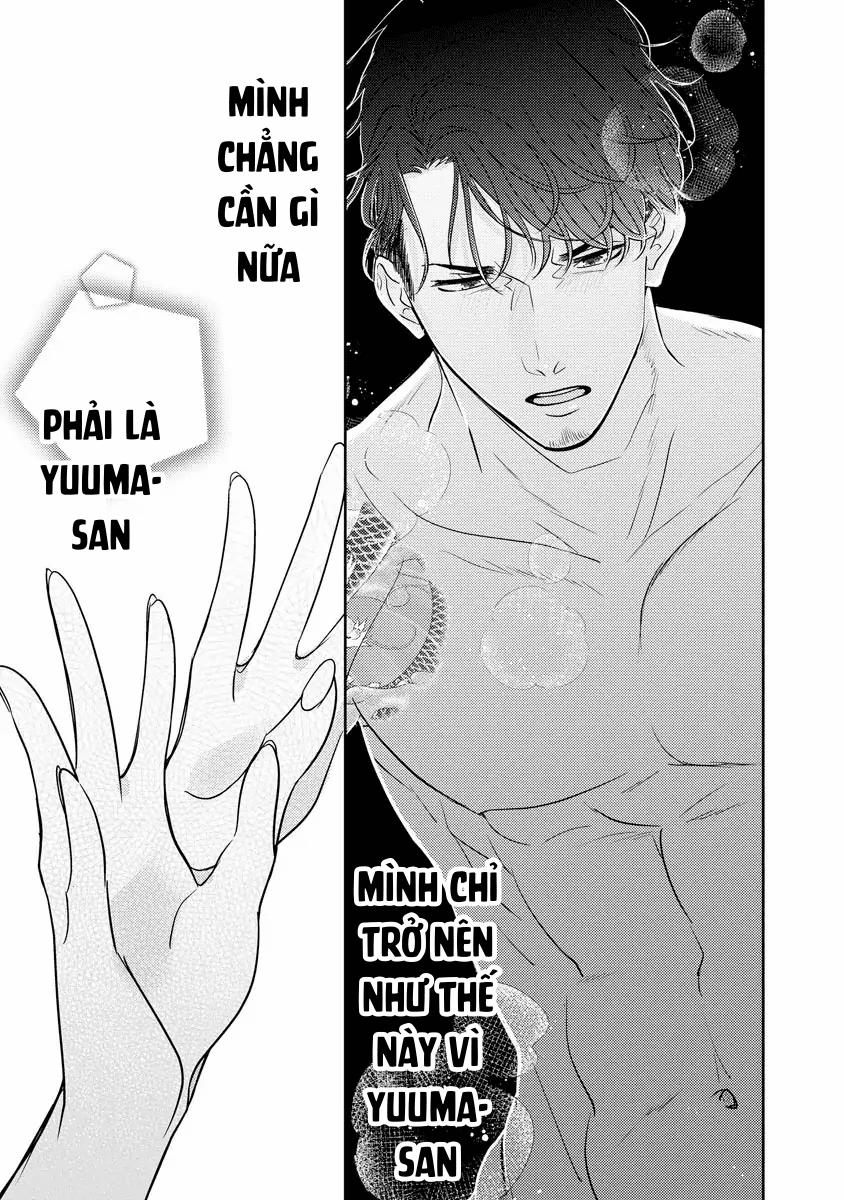 Tôi Được Yakuza Alpha Nhặt Về 2.1 trang 4