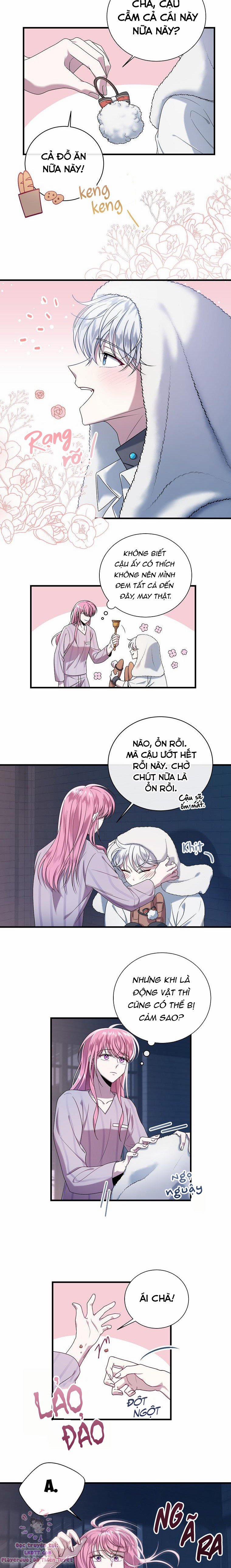 Tôi Gặp Nam Chính Trong Tù 4 trang 11