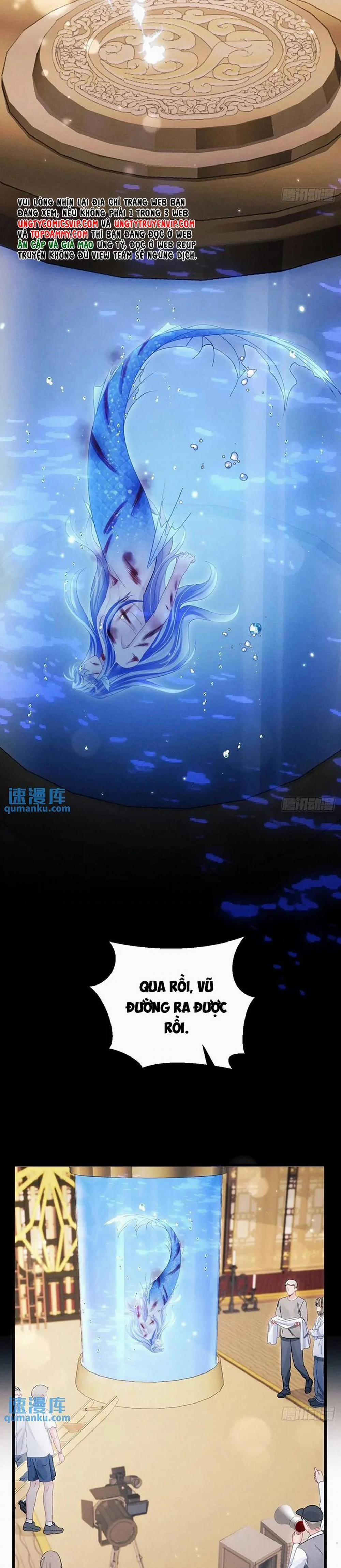 Tôi Hoài Nghi Ảnh Đế Đang Theo Đuổi Tôi 122 trang 15