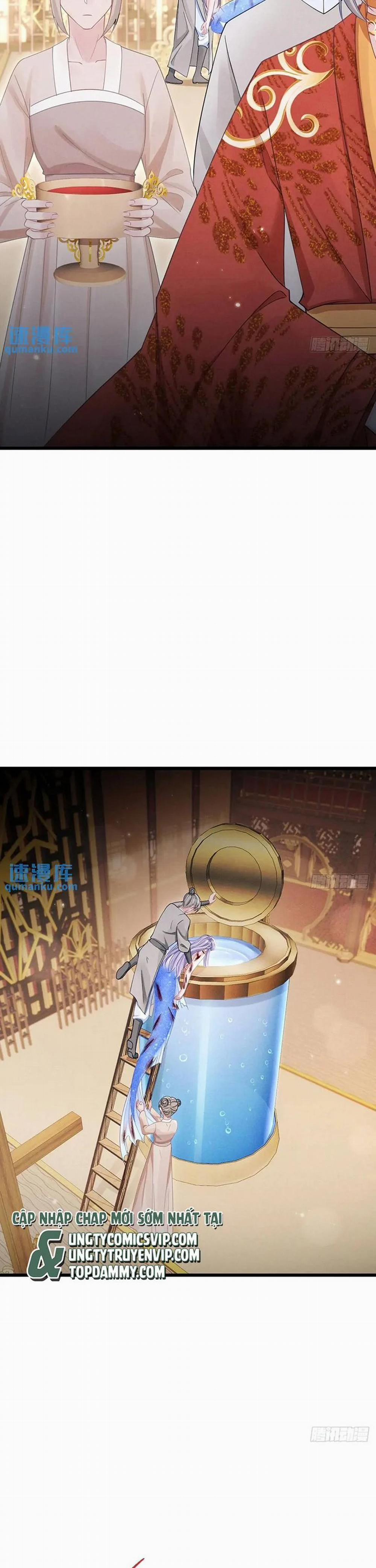 Tôi Hoài Nghi Ảnh Đế Đang Theo Đuổi Tôi 122 trang 5