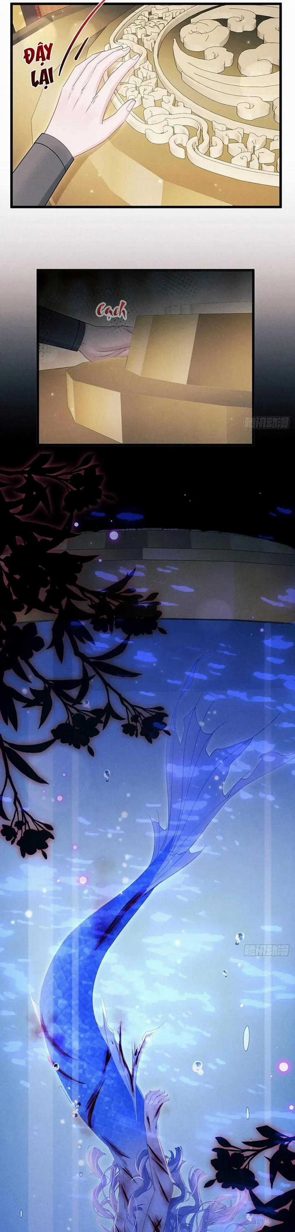 Tôi Hoài Nghi Ảnh Đế Đang Theo Đuổi Tôi 122 trang 6