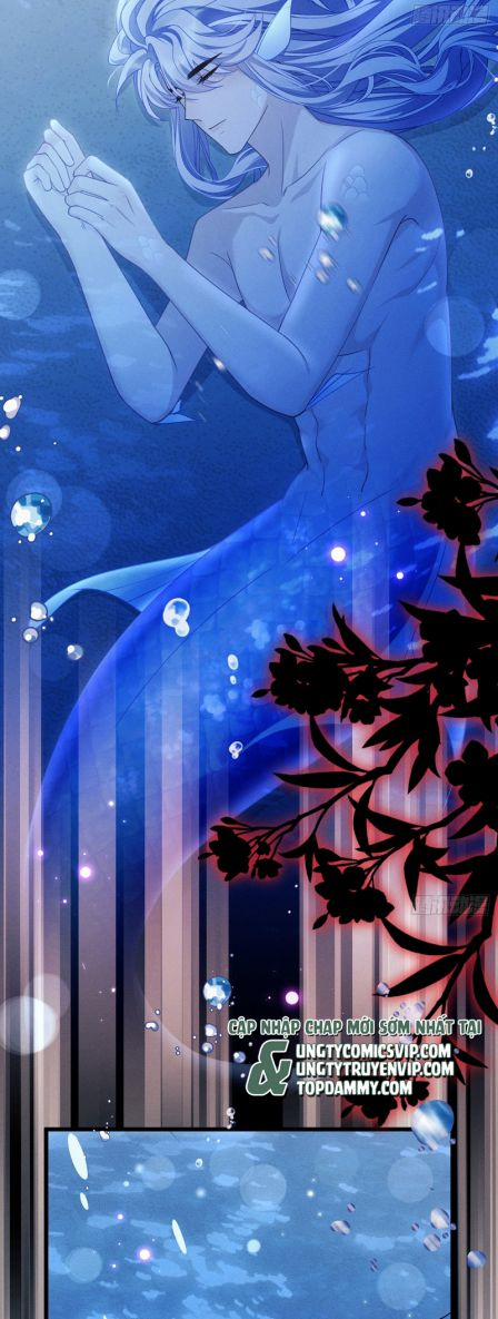 Tôi Hoài Nghi Ảnh Đế Đang Theo Đuổi Tôi 126 trang 17