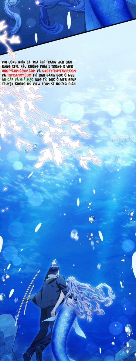 Tôi Hoài Nghi Ảnh Đế Đang Theo Đuổi Tôi 126 trang 20