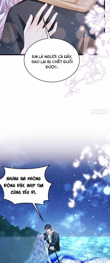 Tôi Hoài Nghi Ảnh Đế Đang Theo Đuổi Tôi 126 trang 34