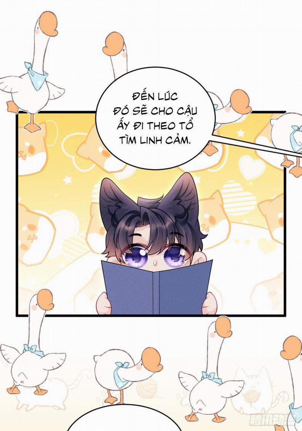 Tôi Hoài Nghi Ảnh Đế Đang Theo Đuổi Tôi 139 trang 22