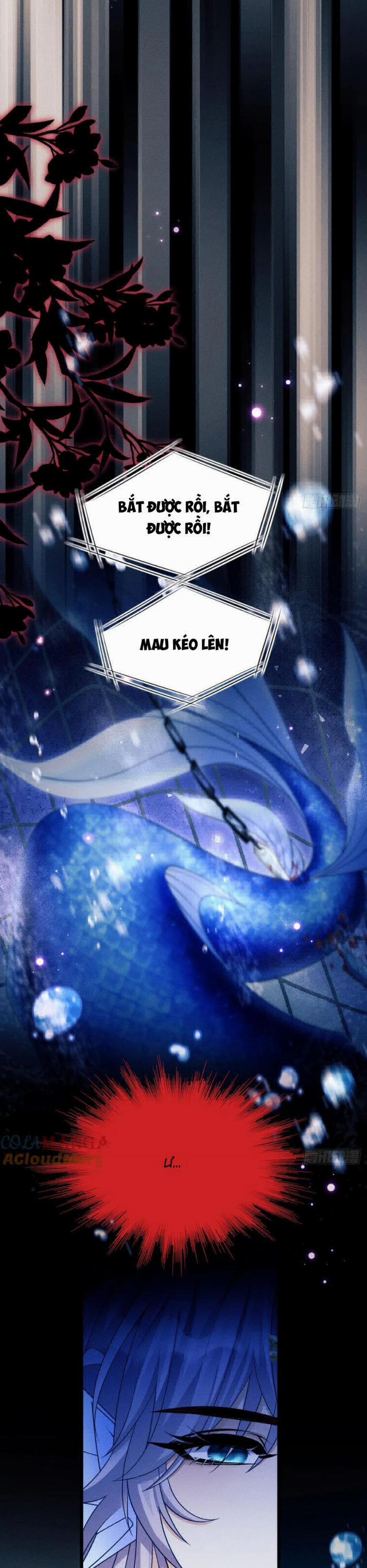 Tôi Hoài Nghi Ảnh Đế Đang Theo Đuổi Tôi 154 trang 32