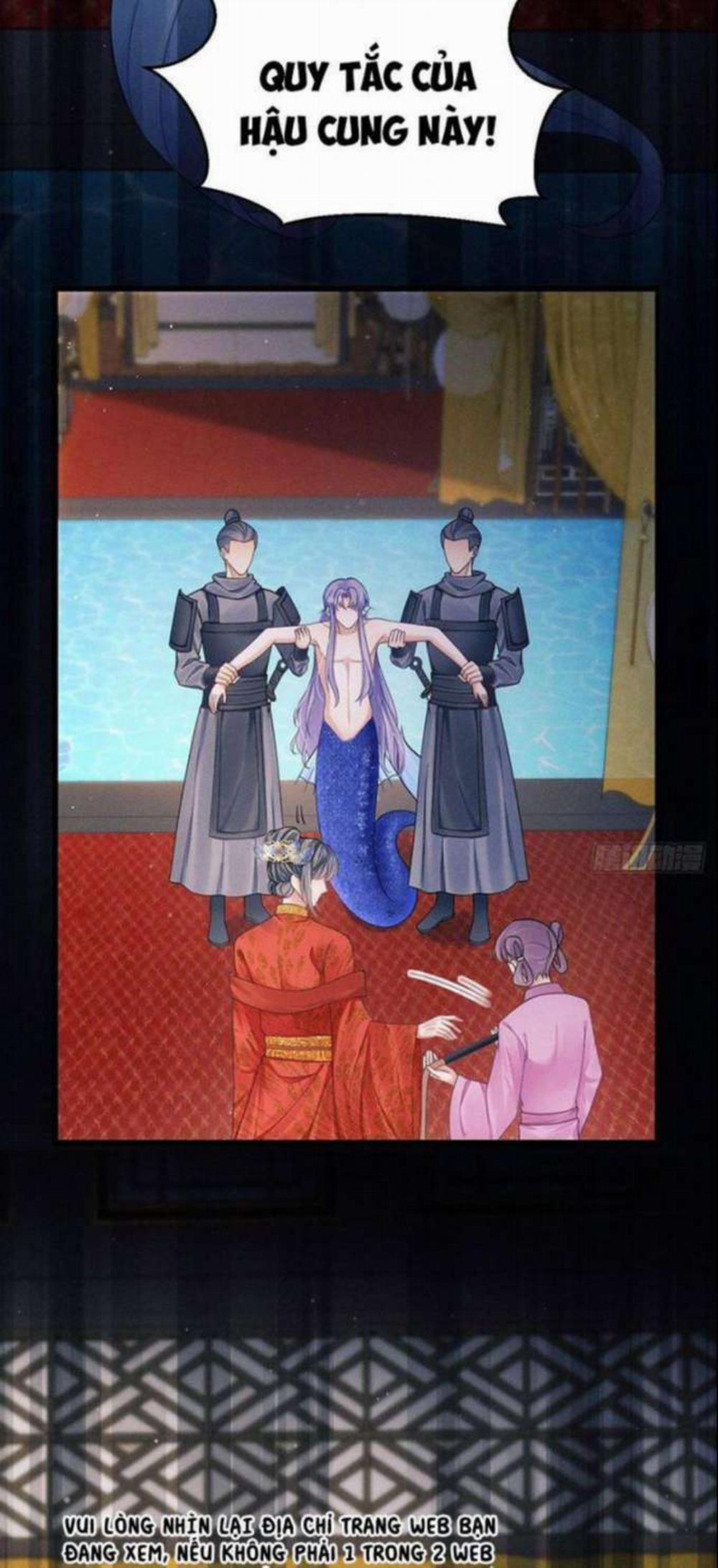 Tôi Hoài Nghi Ảnh Đế Đang Theo Đuổi Tôi 31 trang 70