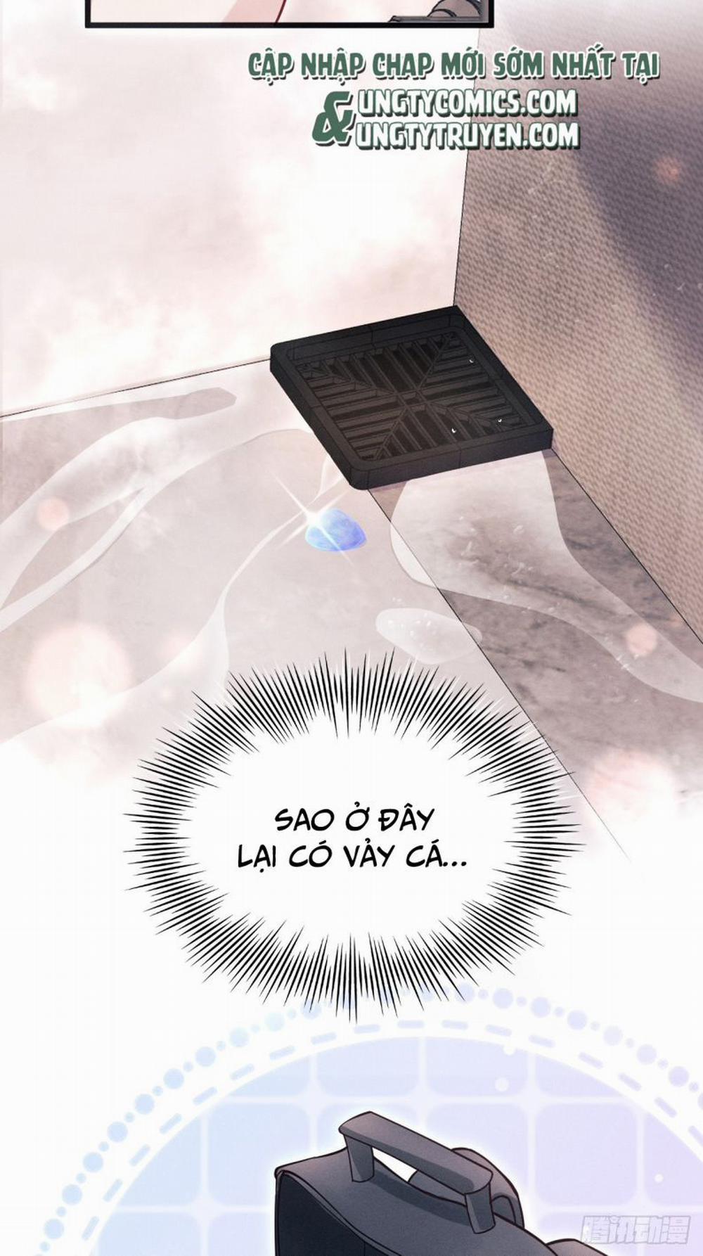 Tôi Hoài Nghi Ảnh Đế Đang Theo Đuổi Tôi 61 trang 11