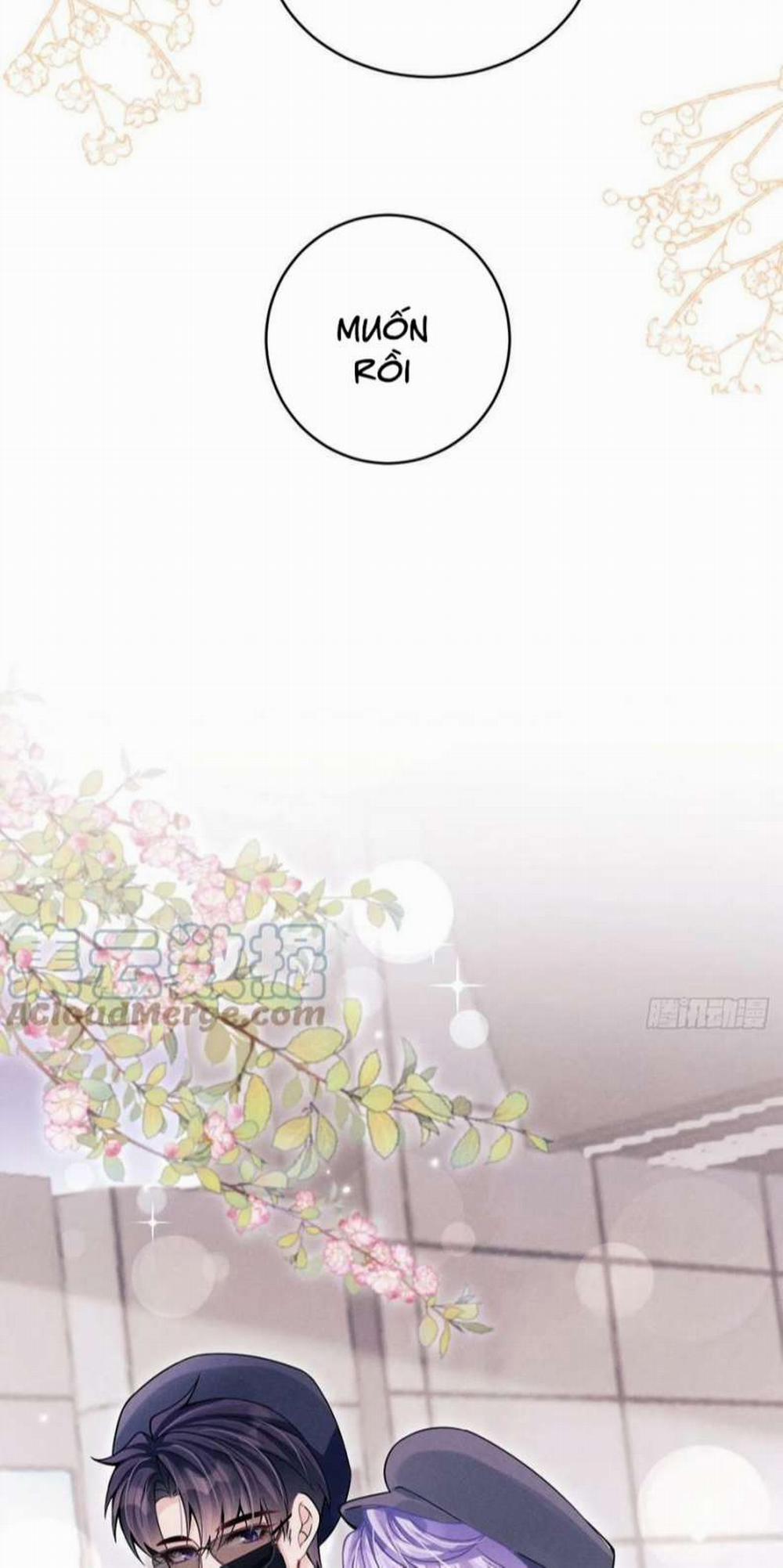 Tôi Hoài Nghi Ảnh Đế Đang Theo Đuổi Tôi 75 trang 36