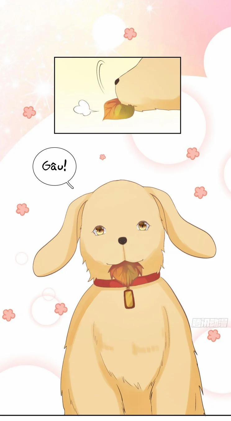 Tôi Hoài Nghi Em Yêu Thầm Tôi 29 trang 11