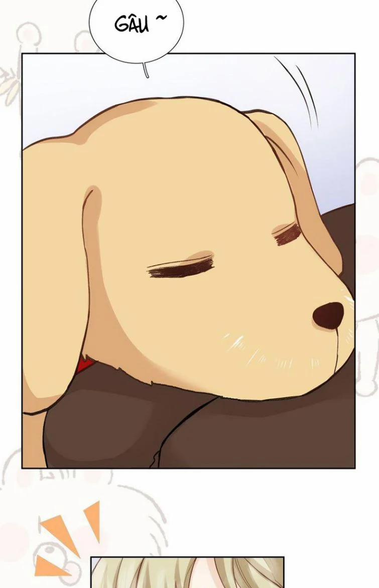 Tôi Hoài Nghi Em Yêu Thầm Tôi 37 trang 20