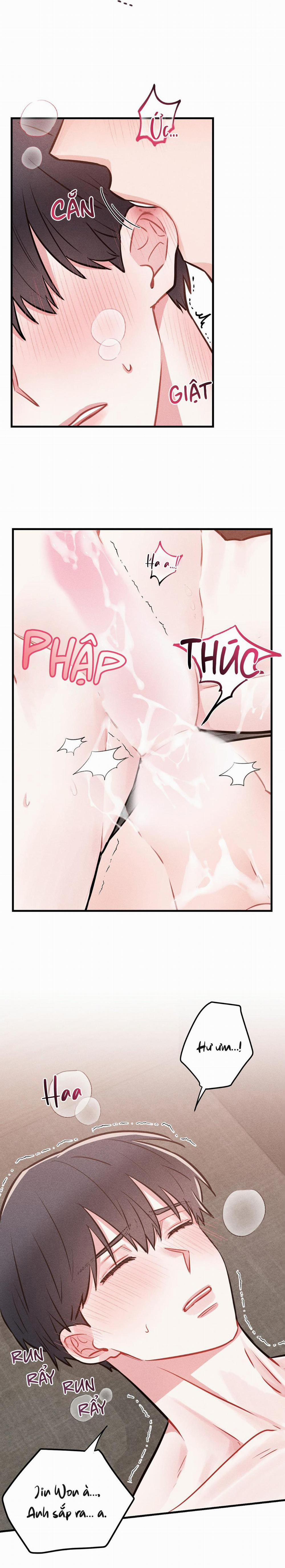 TÔI HỌC ĐƯỢC CÁCH LÀM TÌNH SAU KHI XEM FANFIC 6 trang 19