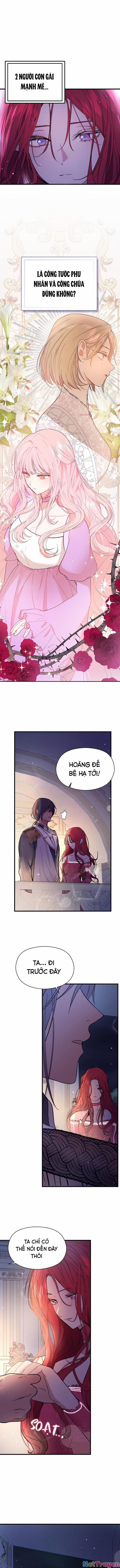 Tôi Không Cố Tình Quyến Rũ Anh Ấy 42 trang 0