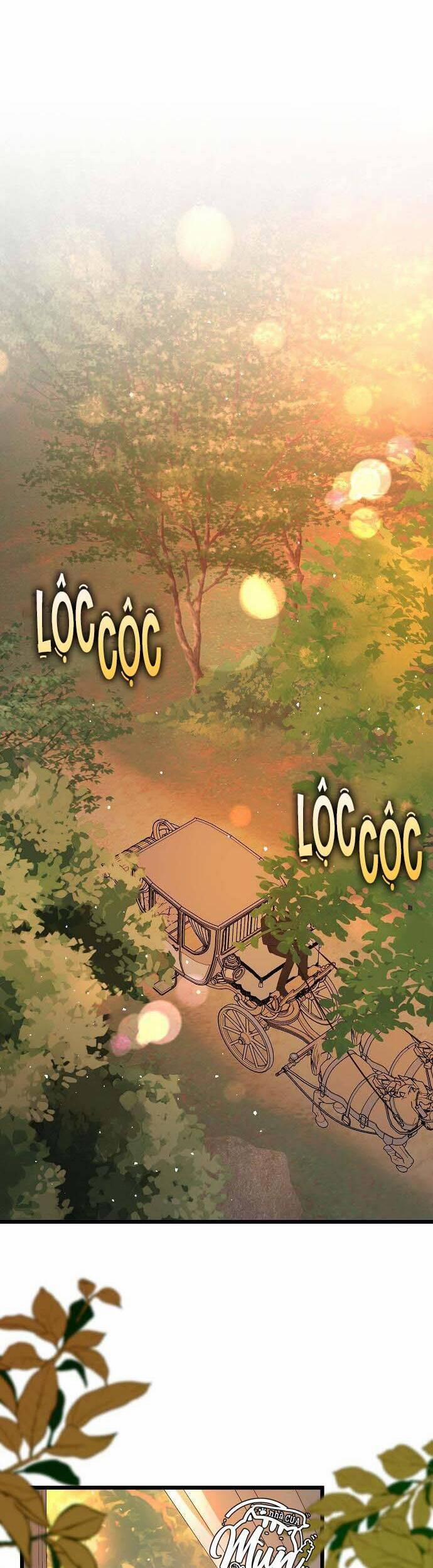 Tôi Không Cố Tình Quyến Rũ Anh Ấy 50 trang 12