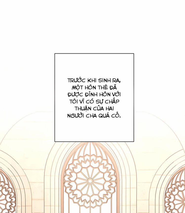 Tôi Không Còn Yêu Anh Nữa 19 trang 1