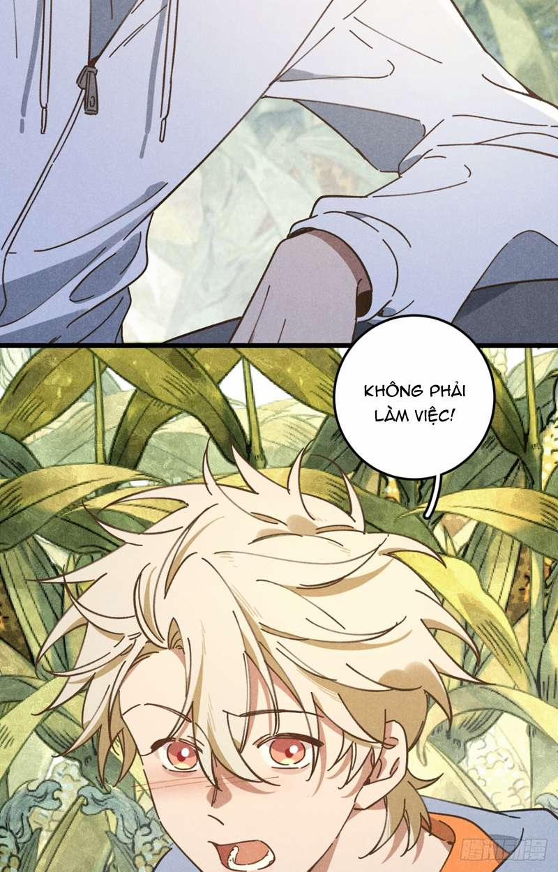 Tôi Không Cùng Anh Đến Vùng Đất Bắp Ngô Đâu! 19 trang 17