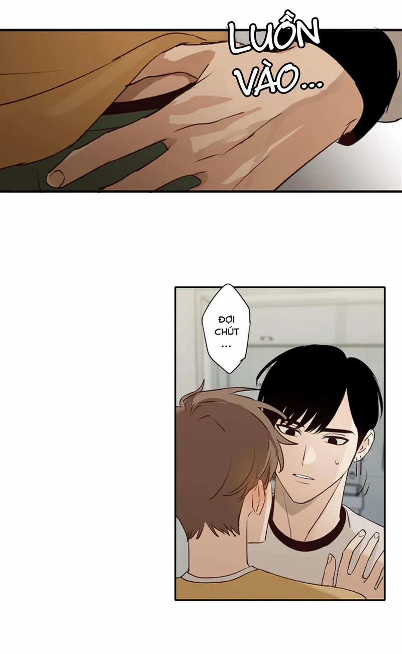 Tôi “Không Hề” Khóc 16 trang 28