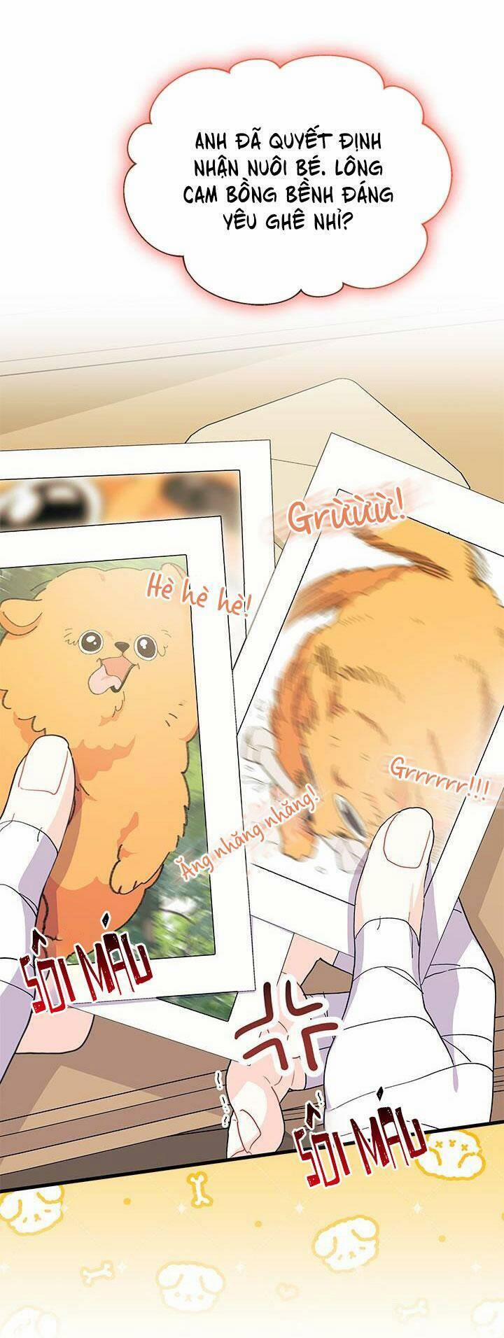 Tôi Không Muốn Làm Người Mai Mối 45 trang 14