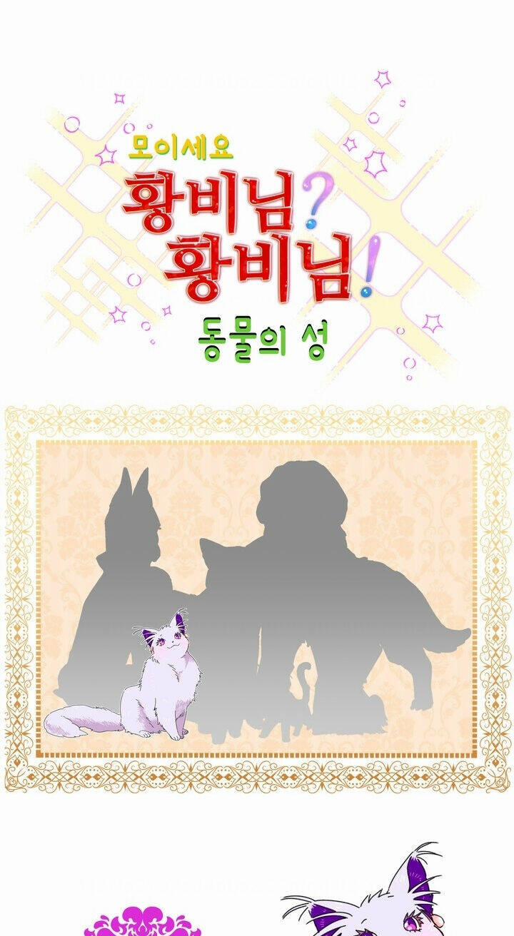 Tôi Không Muốn Trở Thành Nữ Hoàng 34 trang 50