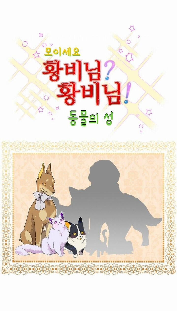 Tôi Không Muốn Trở Thành Nữ Hoàng 36 trang 57